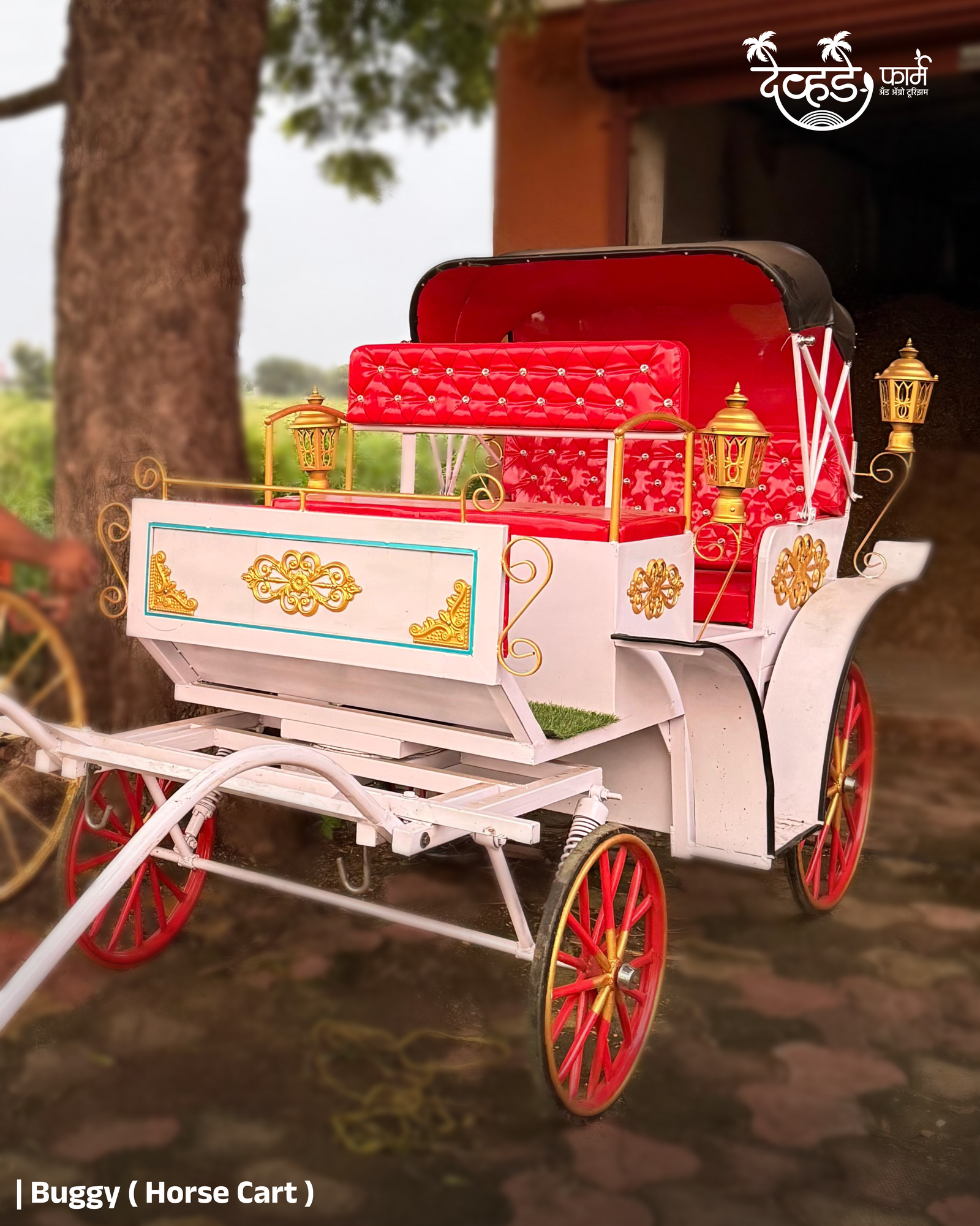 घोडा बग्गी राइड